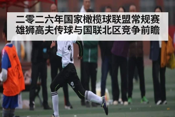 二零二六年国家橄榄球联盟常规赛雄狮高夫传球与国联北区竞争前瞻